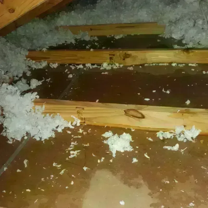 Attic Water Damage in Morehead City, NC