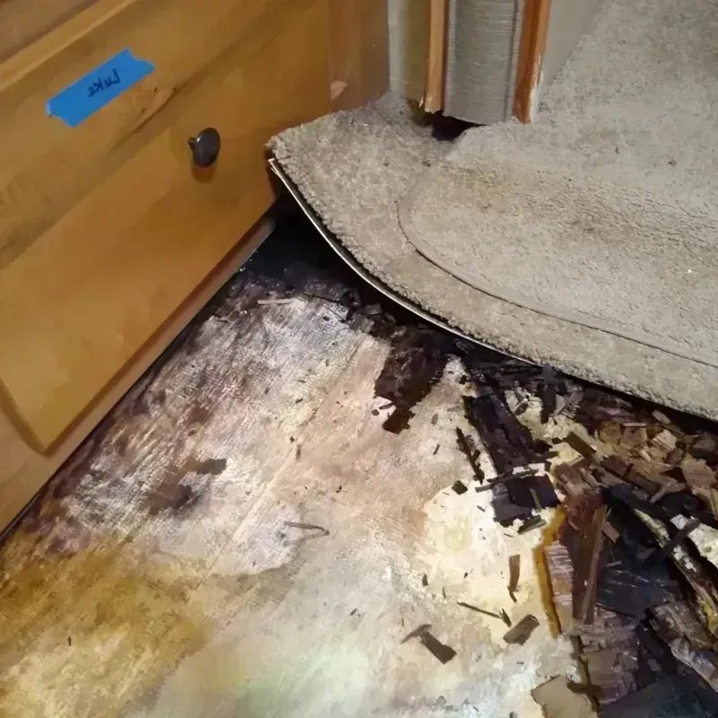 Wood Floor Water Damage in Morehead City, NC